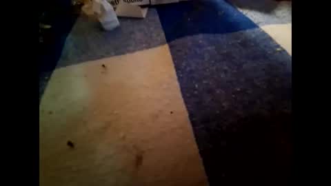 Snapshot of nembo1974 chatting on November 1, 10:23 pm boo online show from November 1, 10:23 pm