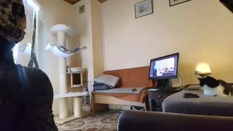 nessieanalemma online show from February 24, 8:34 am