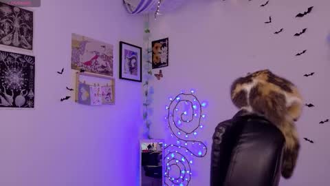 Mar online show from February 3, 5:38 am