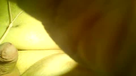 Snapshot of neverland966 chatting on January 25, 4:13 am Mark online show from January 25, 4:13 am