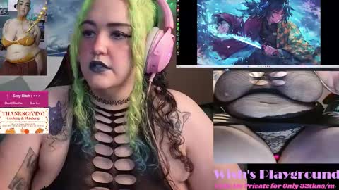 Snapshot of nevermakeawish chatting on November 25, 8:47 am Wishs Playground online show from November 25, 8:47 am