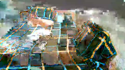 Snapshot of newest_star69 chatting on January 7, 11:16 am Lucy Pearl online show from January 7, 11:16 am