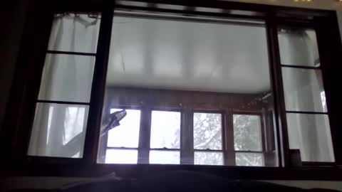 Newguy81240 online show from January 23, 3:54 pm