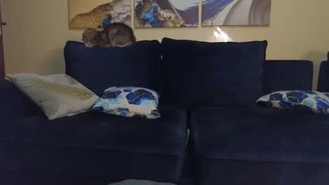 Snapshot of nicckah_ chatting on February 22, 9:48 pm Lilly online show from February 22, 9:48 pm