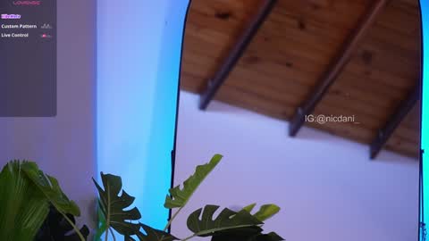 Snapshot of nicdani_1 chatting on January 18, 9:13 pm Dani 3 online show from January 18, 9:13 pm