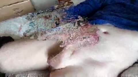 nice_dicknballs online show from May 2, 10:09 am