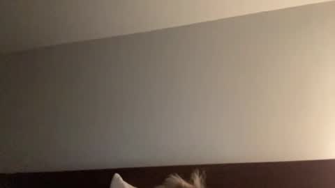 Nice Gentle Naughty online show from December 13, 11:34 am