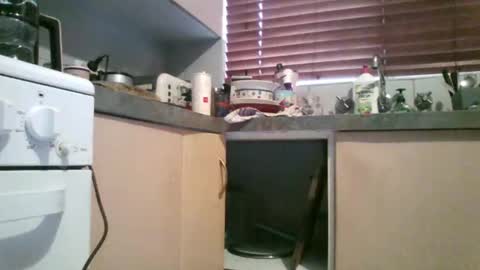 Snapshot of niceozziecockxxx chatting on February 20, 10:43 pm Sexiishaine online show from February 20, 10:43 pm