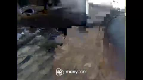 Nick online show from February 20, 2:06 pm