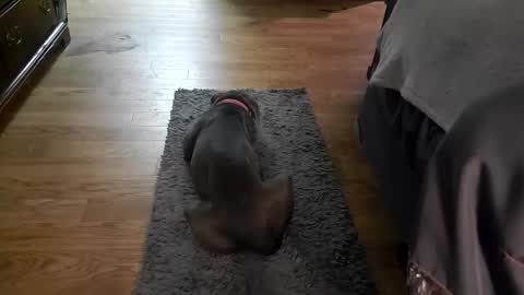 Snapshot of nicky72486 chatting on September 22, 3:19 am nicky72486 online show from September 22, 3:19 am