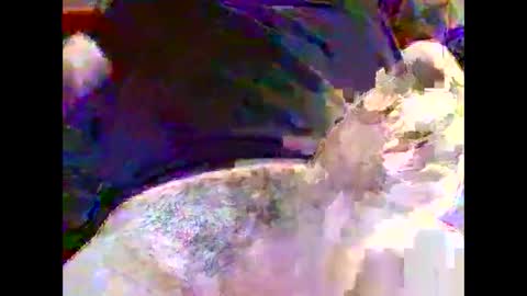 Snapshot of nickyfruit2 chatting on October 30, 9:22 am Nickyfruit online show from October 30, 9:22 am