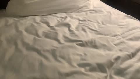 Nick Zoos online show from January 29, 9:55 am