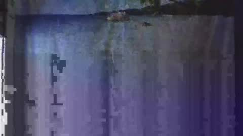 Snapshot of nightgoat666 chatting on January 13, 5:12 am OHB Old Horny Bastard online show from January 13, 5:12 am