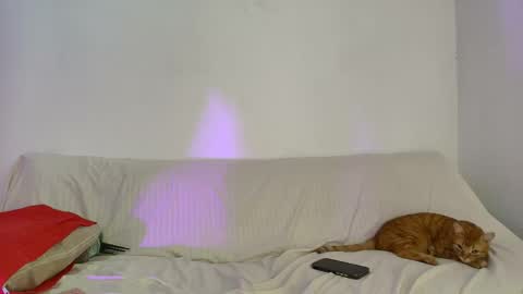 Snapshot of nikki_uwu chatting on June 2, 8:00 pm nikki_uwu online show from June 2, 8:00 pm