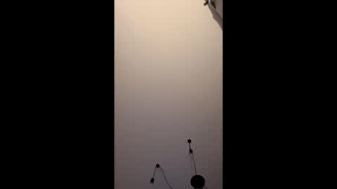 neighbours online show from January 16, 12:14 am