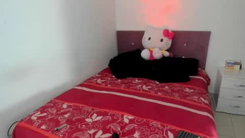 Snapshot of nikoleevanss chatting on November 28, 5:21 am Nikole online show from November 28, 5:21 am