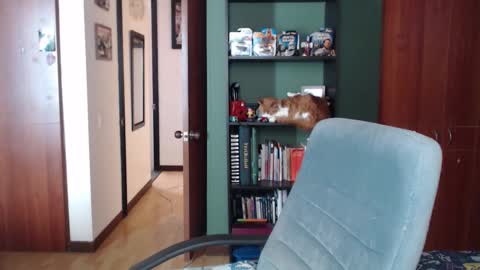 Nina Moon online show from December 3, 8:07 pm