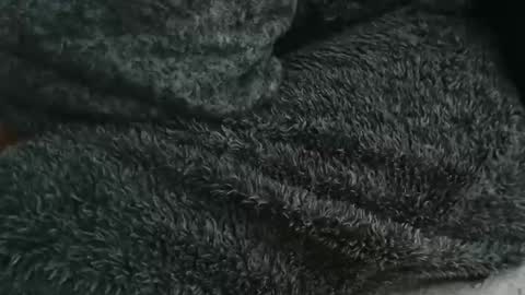 nineinchhard online show from September 14, 8:46 am