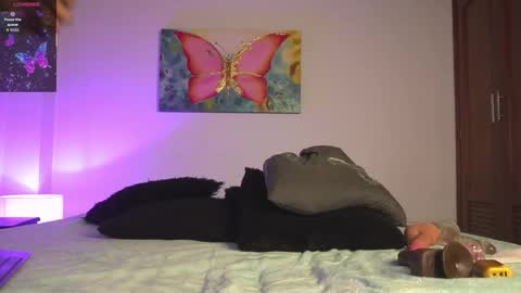 Snapshot of noah_0814 chatting on October 24, 3:14 am noah_0814 online show from October 24, 3:14 am