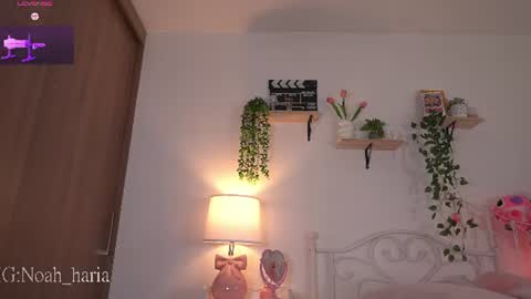 Snapshot of noah__23 chatting on June 20, 11:07 pm noah__23 online show from June 20, 11:07 pm