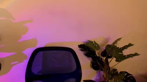 noah_dupont_ online show from November 10, 11:42 am