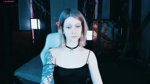 Snapshot of noah_elmer chatting on February 11, 4:46 pm REAL name LiaDM are always open online show from February 11, 4:46 pm