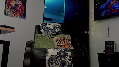 Snapshot of noahbrawn chatting on January 12, 3:03 pm LIAM- noah online show from January 12, 3:03 pm