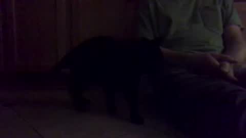 Noodles online show from January 16, 1:04 pm