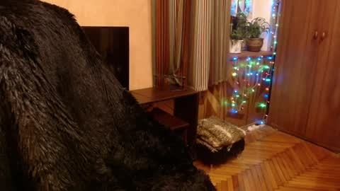 Snapshot of norma_gin chatting on December 28, 9:19 pm miss Tress online show from December 28, 9:19 pm