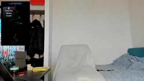 North stallions online show from February 19, 7:04 am