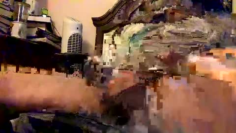 Snapshot of nothingclever1003 chatting on January 16, 7:38 am nothingclever1003 online show from January 16, 7:38 am