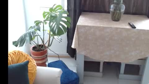 novaperotti online show from November 5, 6:41 pm