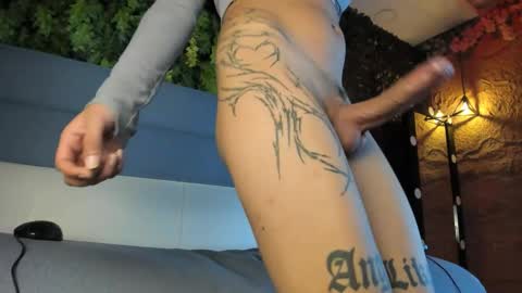 Novi online show from November 19, 7:36 pm