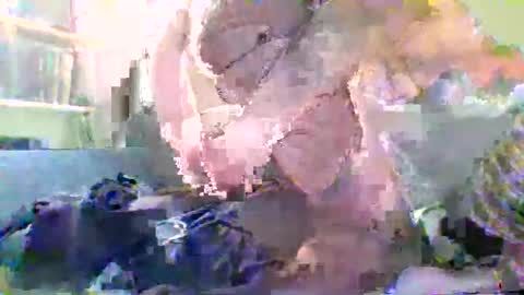 NYlonloversFFM online show from January 17, 7:17 pm