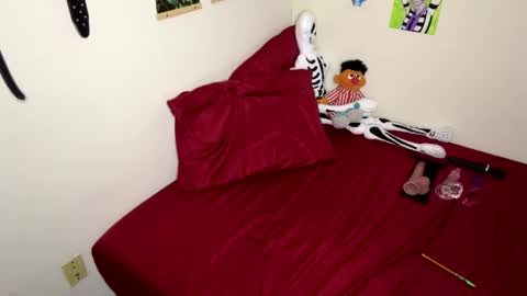 Nymphaea online show from November 15, 12:08 am