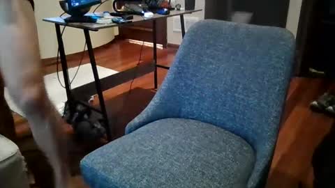 Sky online show from December 20, 2:49 pm