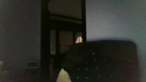 Snapshot of office_slr chatting on December 26, 7:45 am Officer online show from December 26, 7:45 am