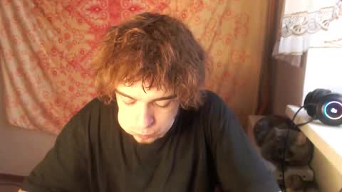 Felix online show from November 6, 7:53 am