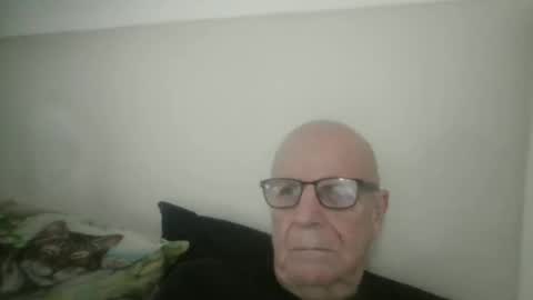 oggi95 online show from November 20, 10:48 am