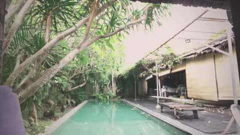 Snapshot of ohmymojo chatting on November 18, 1:55 am Mo online show from November 18, 1:55 am