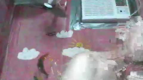 Snapshot of oldbuthorny62 chatting on November 23, 6:57 am oldbuthorny62 online show from November 23, 6:57 am