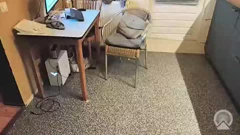 oldersagger online show from November 5, 4:18 pm