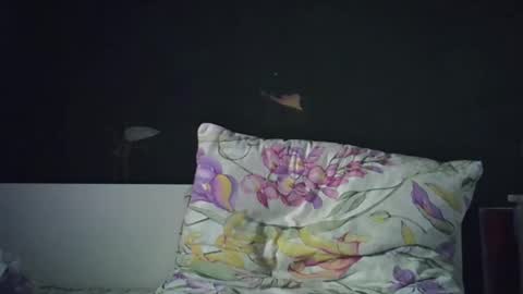 Snapshot of olivepeach chatting on April 23, 2:19 pm Oil online show from April 23, 2:19 pm