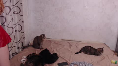 Olivia online show from June 11, 2:53 am