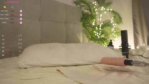 Lily dont forget to follow me  good to see you all online show from February 22, 10:20 pm