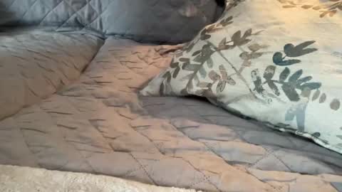 onthedlhere online show from January 9, 7:18 pm