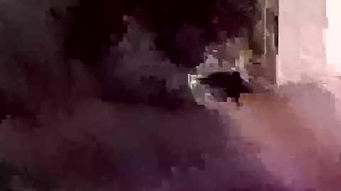 Foryourdick online show from January 12, 7:46 am