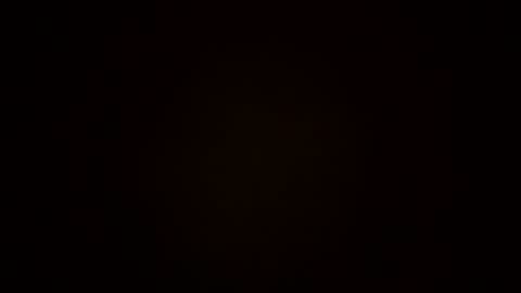 oralzoo2 online show from October 8, 12:30 am