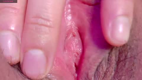 orchidekitty online show from April 30, 9:08 pm