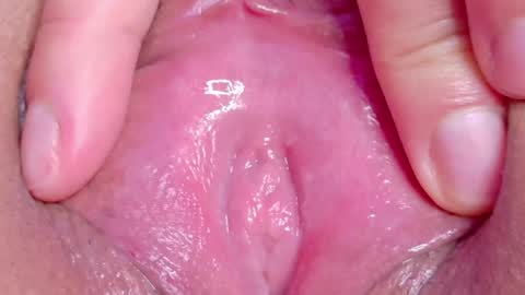 orchidekitty online show from May 2, 11:10 pm